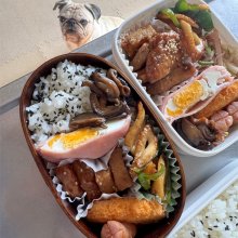 kana_29さんの写真