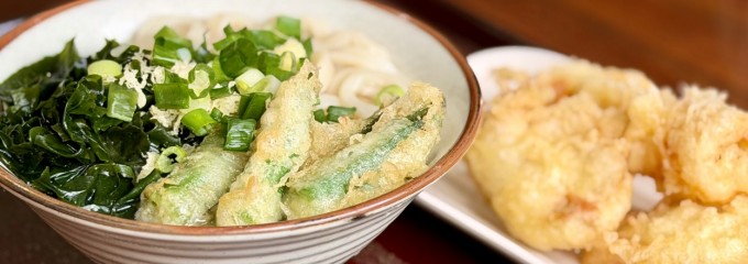 綾歌うどん