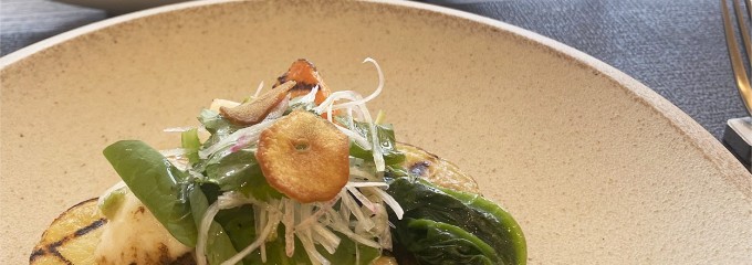 S kashiwa