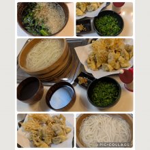 kinokodaimaouさんの写真