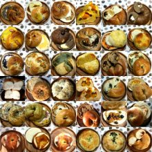 hachimichuさんの写真