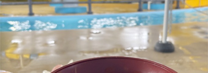 スパワールド 世界の大温泉