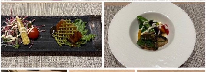 サン浦島 悠季の里