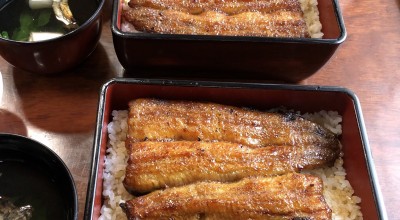 うなぎ さかた 印西 白井 安食 うなぎ どじょう