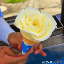 tsukikoさんの写真