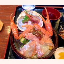TANUKI_SHIGARAKIさんの写真