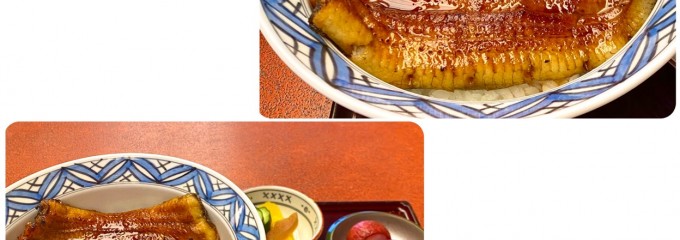 神田きくかわ 上野毛店