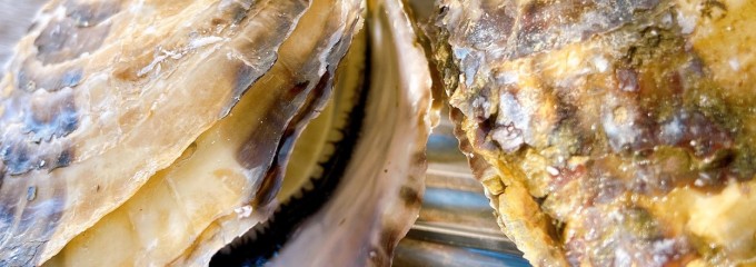 海の駅しおさい くいどうらく