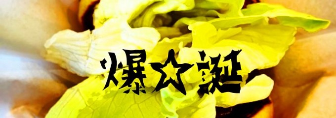 フレッシュネス バーガー 向ヶ丘遊園店