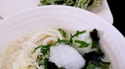 たも屋 松山平井店 うどん