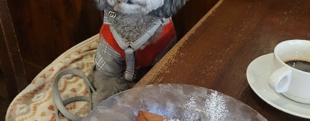 TRATTORIA　葡萄房　by THE CAMEL