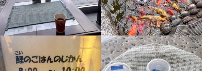 観水庭こぜにや