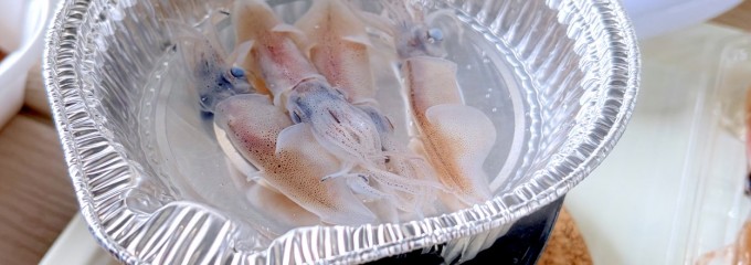 ホタルイカミュージアム