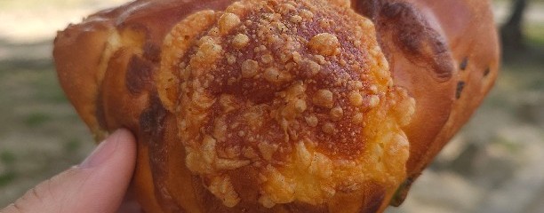 ハローズ観音新町店