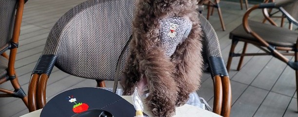 うめきた広場