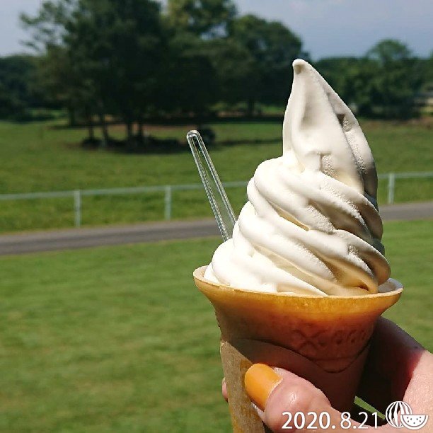 Maniwa Farm チーズケーキ工房 那須 大田原 黒田原 カフェ