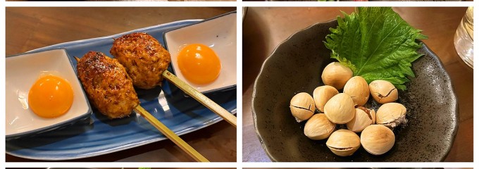 鵠沼大衆酒場よっちゃん