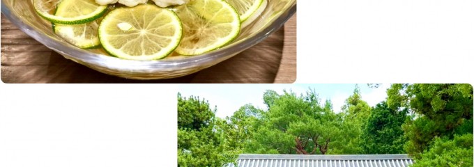 三味洪庵 本店