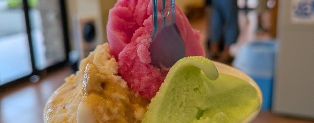 ソンニャーレ