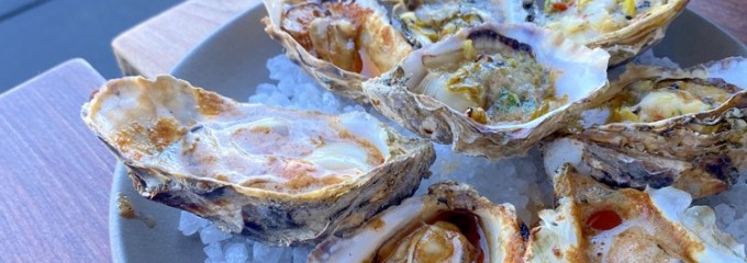 Hog Island Oyster Company