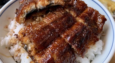 なまずや丸の内分店 羽島市役所前駅 うなぎ どじょう