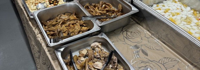 中国西北料理 大新疆