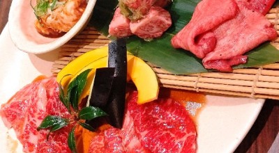 徳寿 しんら亭 札幌大通周辺 西４丁目 焼肉 ホルモン