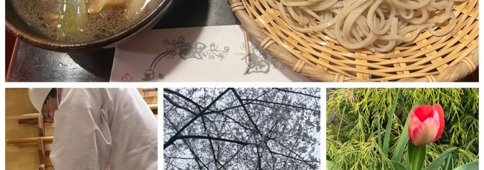 さらしな総本店 北口店