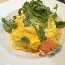 jacopasさんの写真