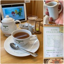 cheerfulさんの写真