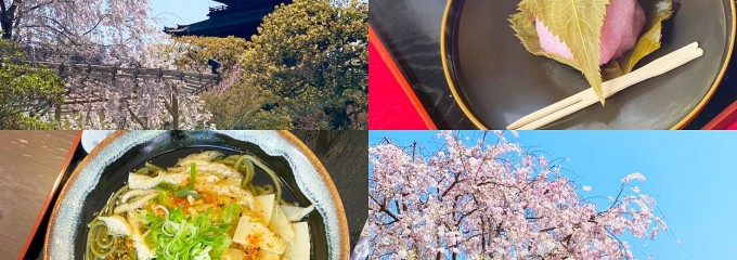 東寺 五重塔