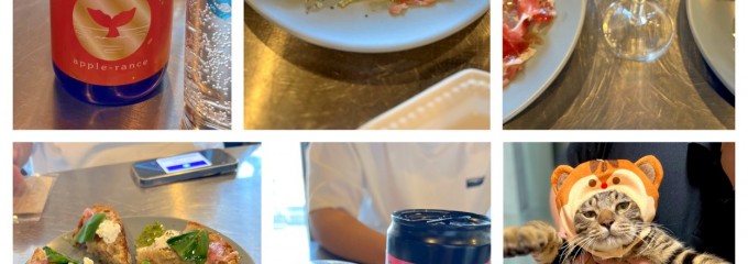 CAFFE & DINING SHACHI