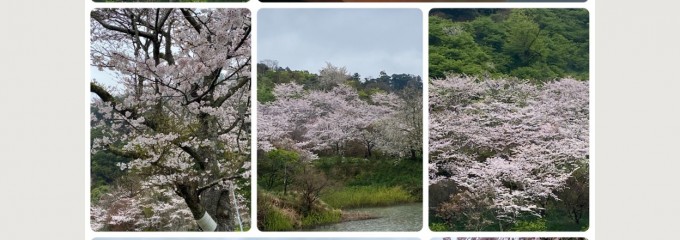 佐久間ダム湖親水公園