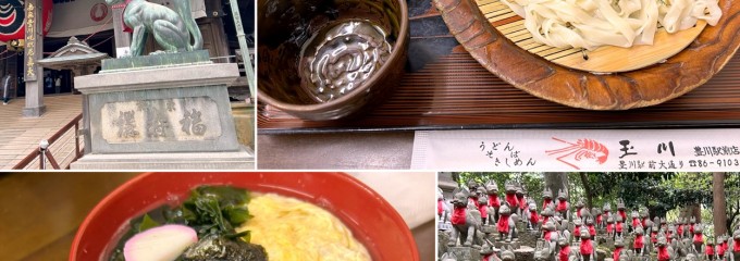 玉川うどん 豊川駅前店