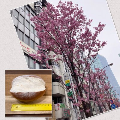 パンの田島 笹塚店 笹塚 笹塚駅 パン パンの田島 笹塚店 笹塚 笹塚駅 パン