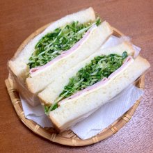higehideさんの写真