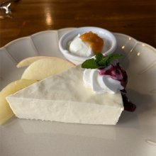 YAMADA_UDONさんの写真