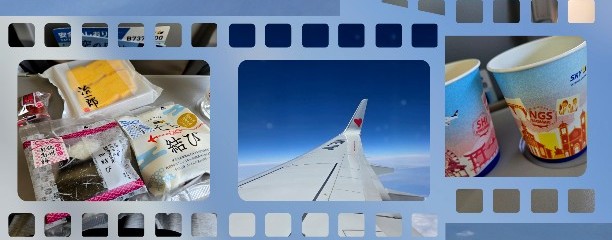 スカイマーク㈱ 本社（Skymark Airlines Inc.）