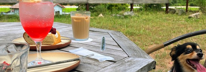 Touya cafe