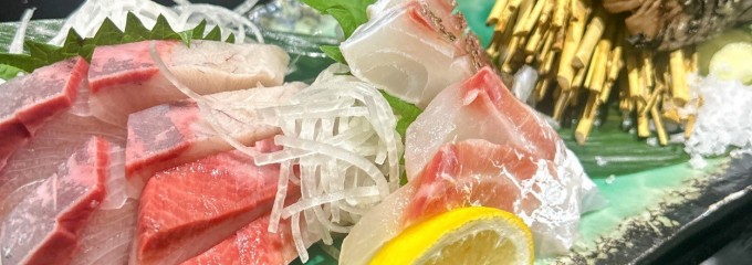 高知宿毛湾直送 真鯛処ざまに 吉祥寺店
