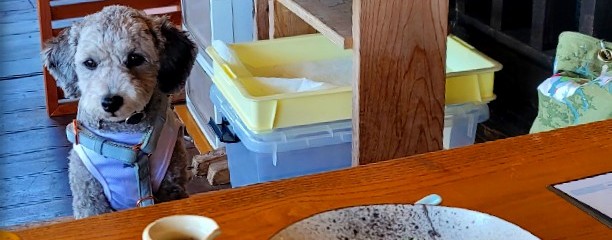 白ひげ蕎麦