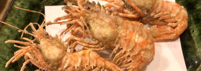 田っくんのサテライト商店