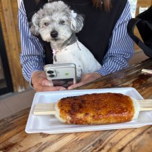 oyutaさんの写真