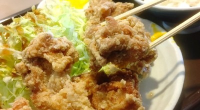 たぬき 東急沿線 二子玉川 定食 食堂