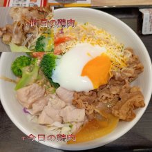 necoscardさんの写真
