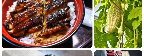 えのきや