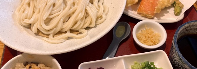 うどん日和ひこどん