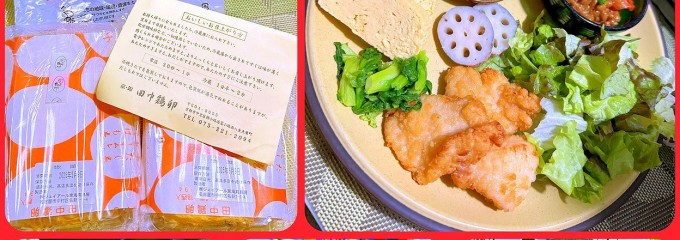 田中鶏卵