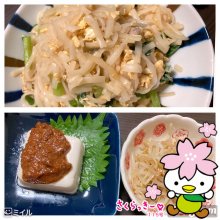 chisato629さんの写真