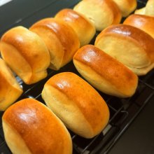 stk0308さんの写真